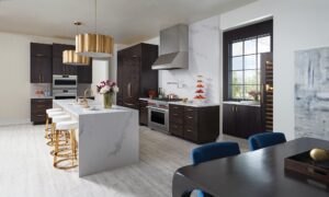 Top Luxury Appliances for Calabasas Kitchens in 2025